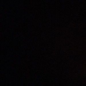 Meet your Posher, Darius